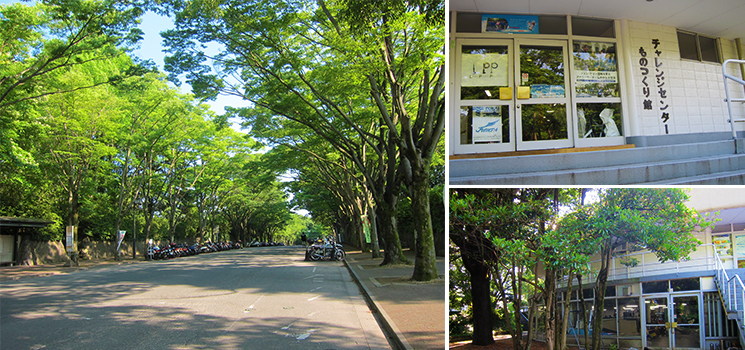 東海大学