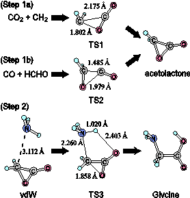 Glycine